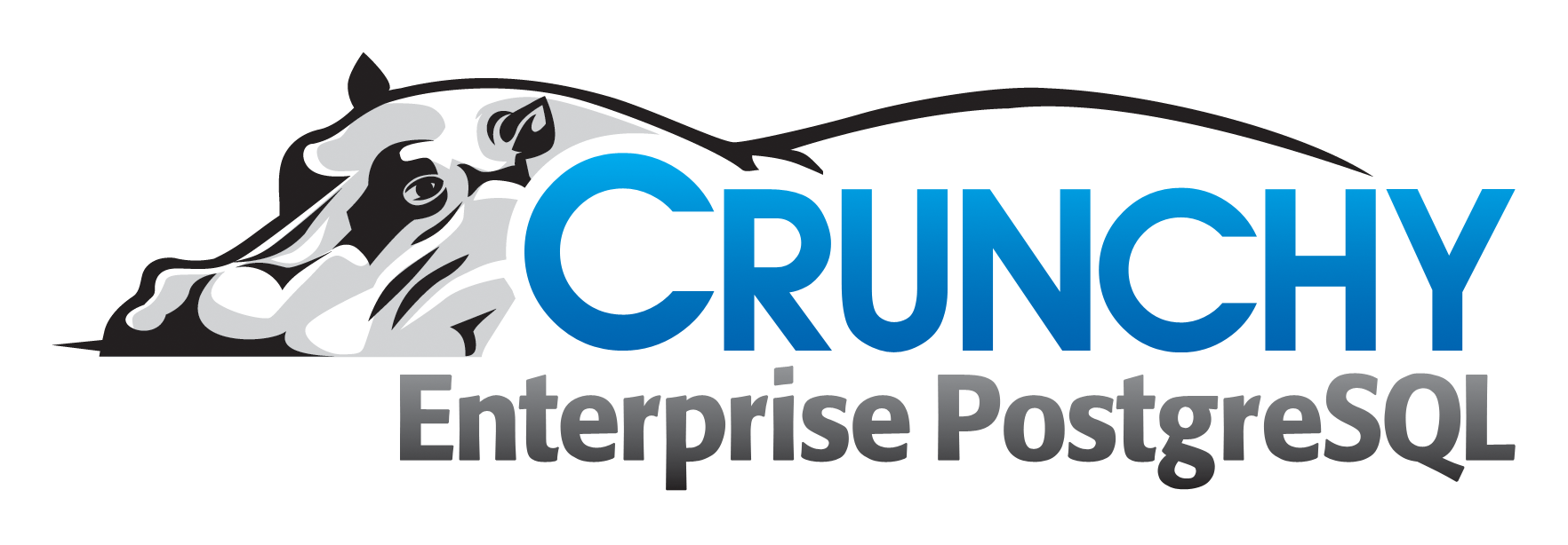 Crunchy PostgreSQL ile Kurumsal Veritabanı Yönetimi ve Kubernetes HA Cluster Kurulumu